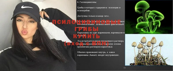 а пвп мука Алексеевка