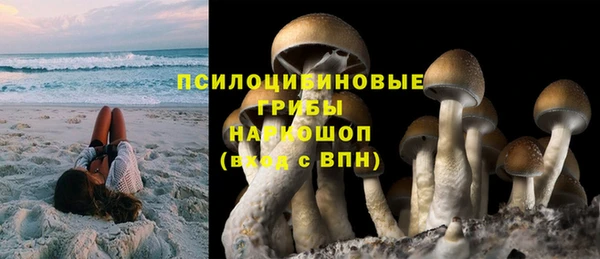 прущие крисы Абинск