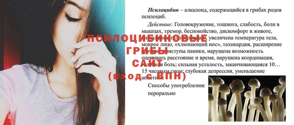 Альфа ПВП Алексин