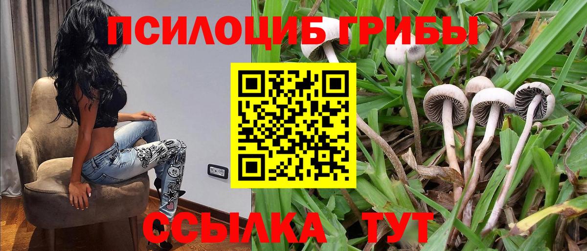 Галлюциногенные грибы мухоморы Богородицк